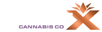 BOOM-X-logo